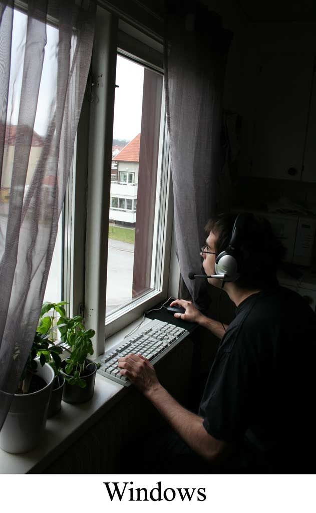 31-windows.jpg